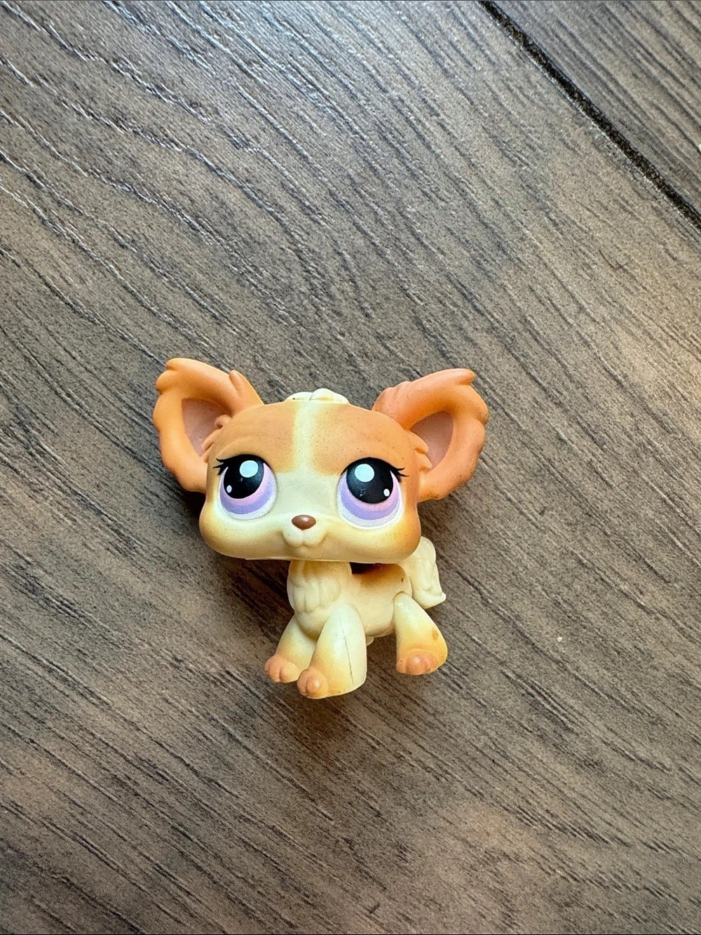 Hasbro Littlest Pet Shop #96 Chihuahua / Papillon Orange & Cream Collectible